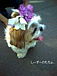 DogClub