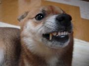 人の好き嫌いがはっきりしてる