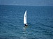 aqu@muse de sailing canoe club