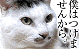 恋人が欲しい！！