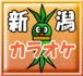 ǥ饪͡